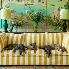 Coco 3.5 seater sofa with Self Piped Knife Edge cushion in Stripes Dandelion - Made to Order