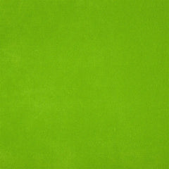 Designers Guild - Grass Fabric Swatch