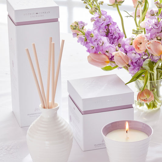 Frankincense & Vetivert Reed Diffuser