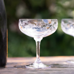 Four Cocktail Glasses with Ferns design by Vintage List