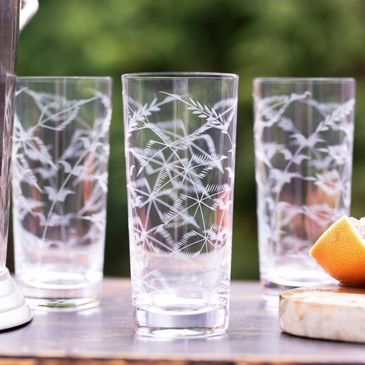 Four Highball Glasses with Fern Design by Vintage List