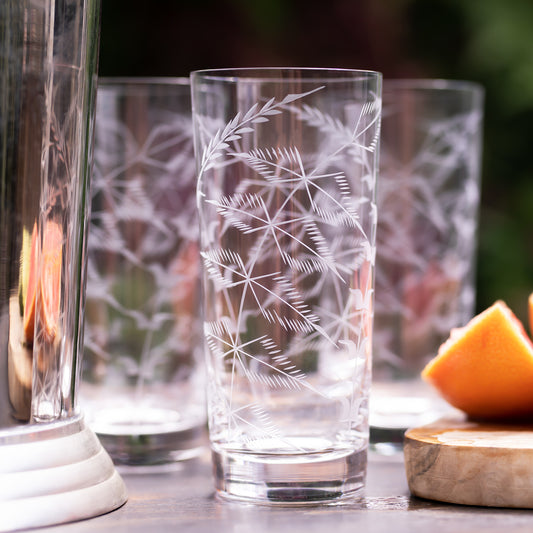 Four Highball Glasses with Fern Design by Vintage List