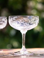 Four Cocktail Glasses with Ferns design by Vintage List