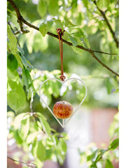 Heart Bird Feeder